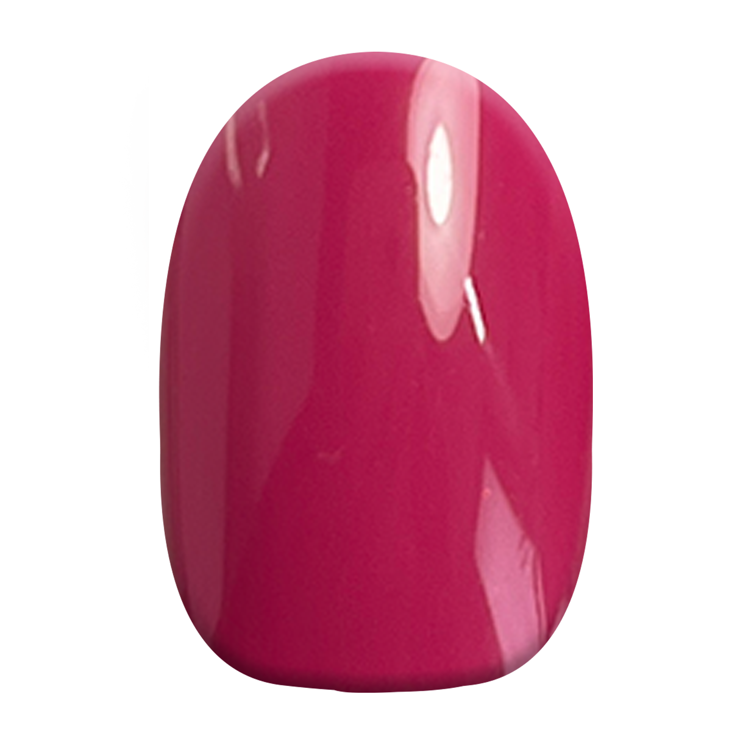 Pink Tullip No. 67 GLOSS